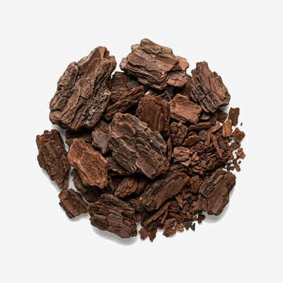 Pine Bark Extract
